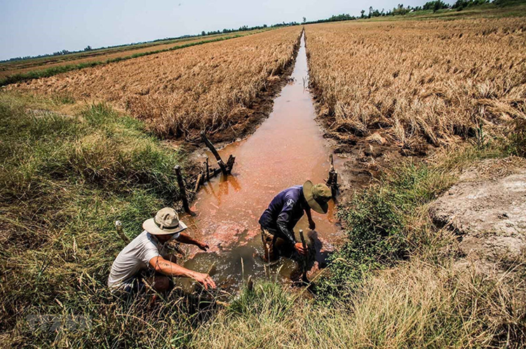 ảnh hưởng của biến đổi khí hậu